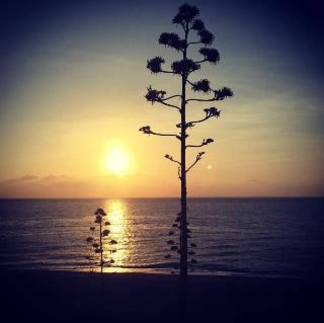 Praia