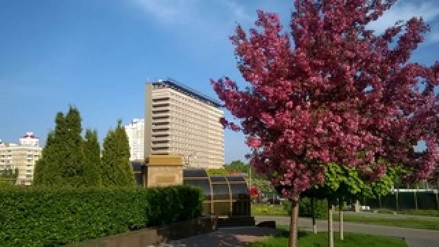 Vista General