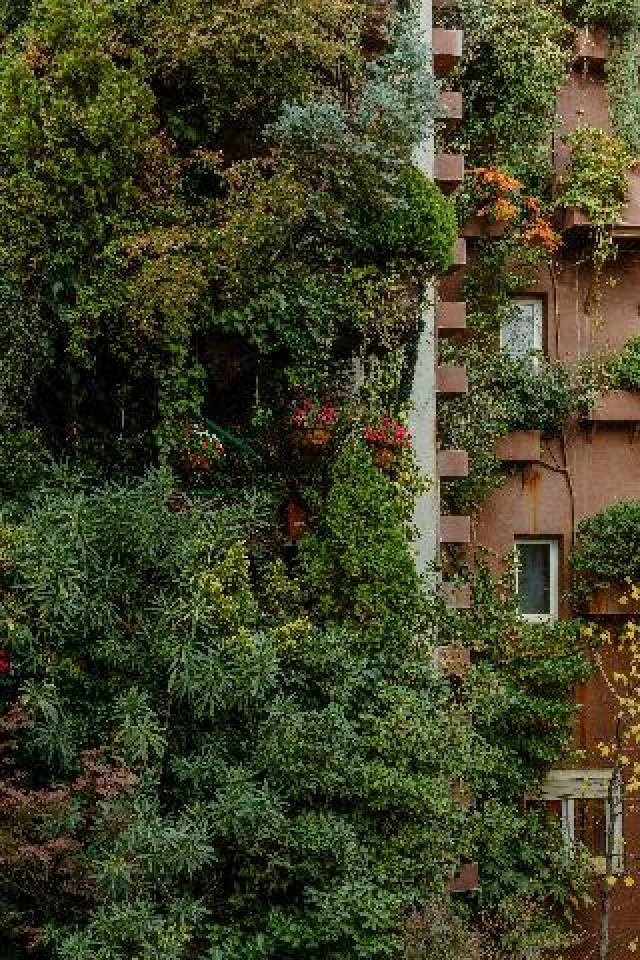 Vista General
