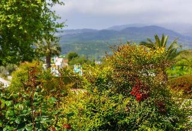 Terraço