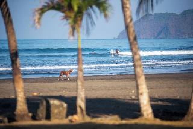 Praia