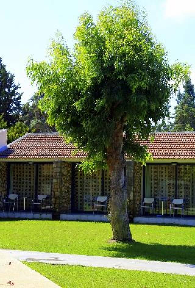 Vista General