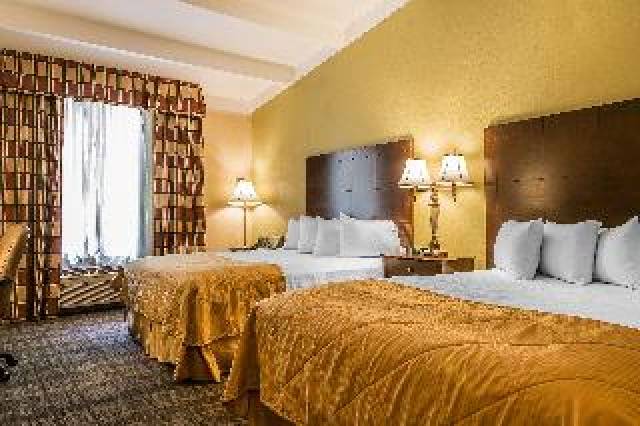 Quarto