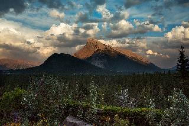 Vista General