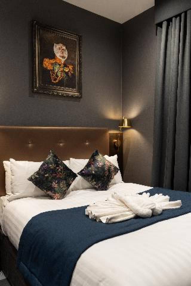 Quarto