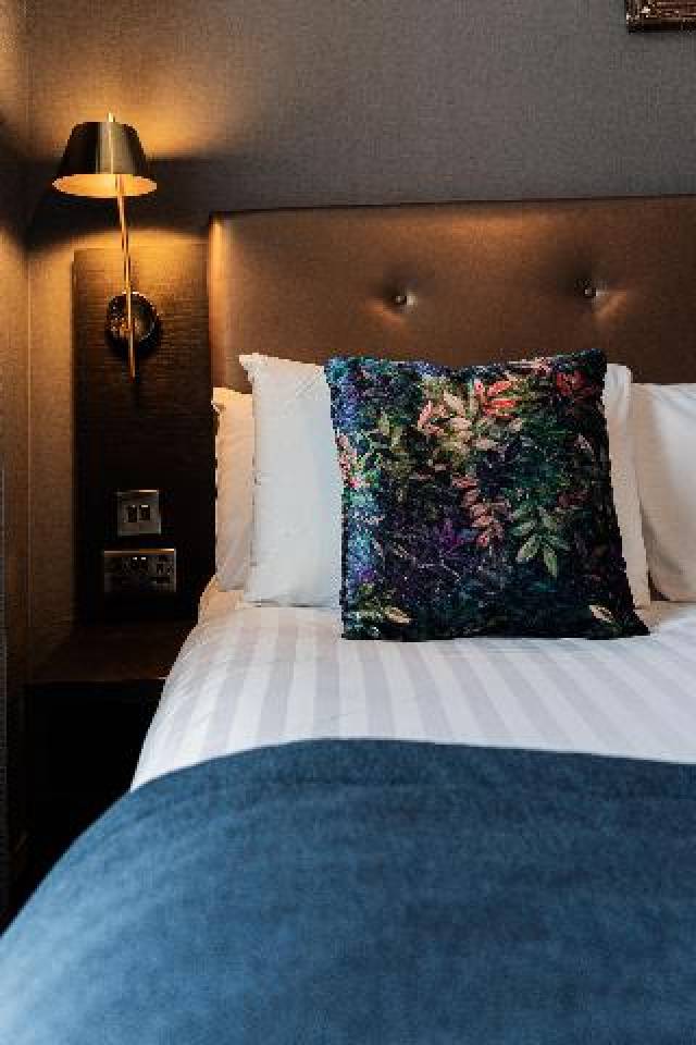 Quarto