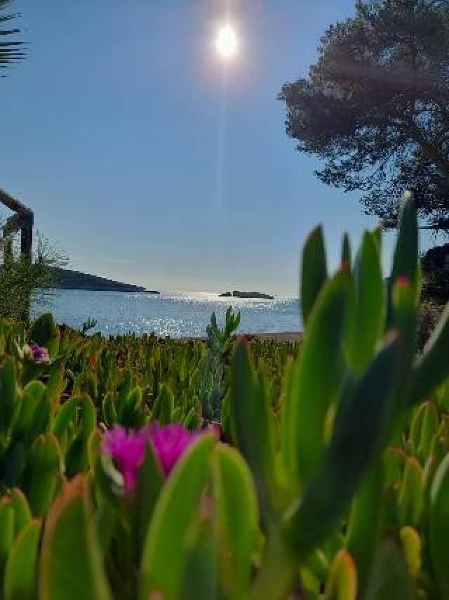 Praia