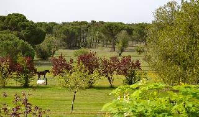Vista General