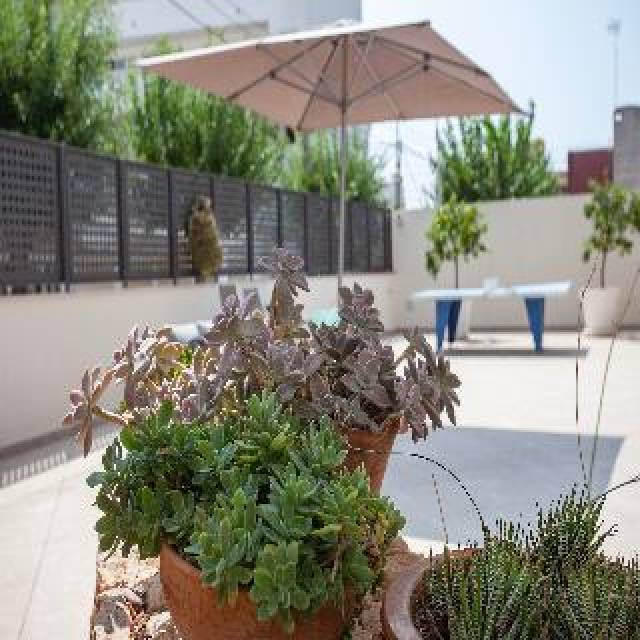 Terraço