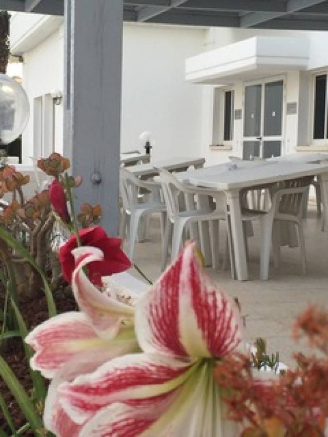 Terraço