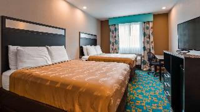 Quarto