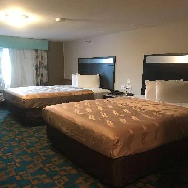 Quarto