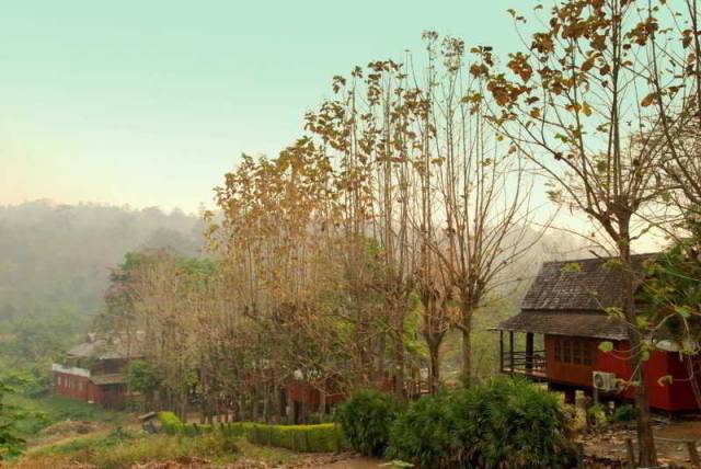 Vista General