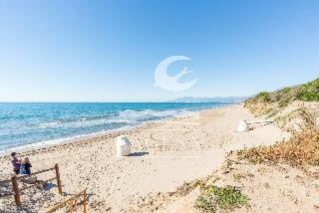 Praia