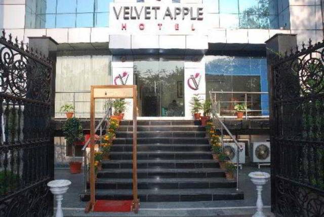 Vista General