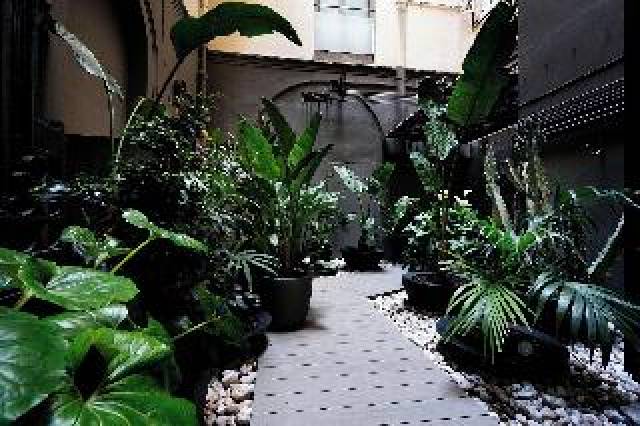 Terraço