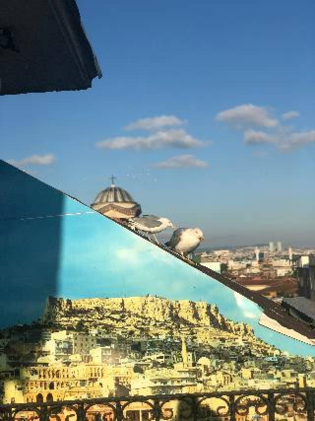 Terraço