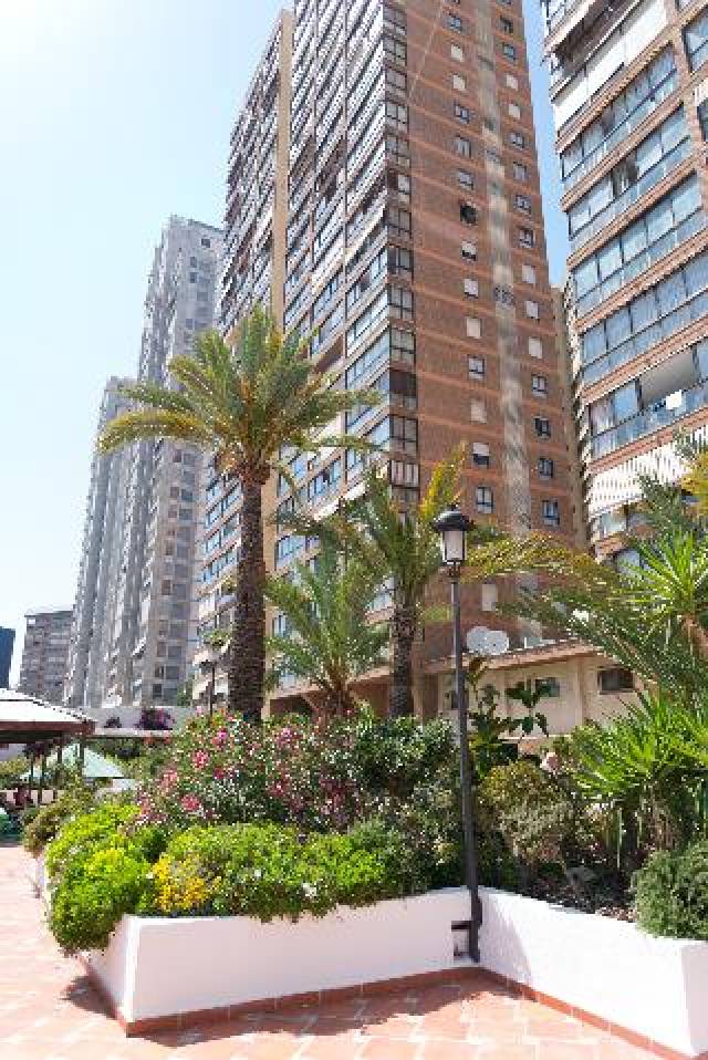 Vista General