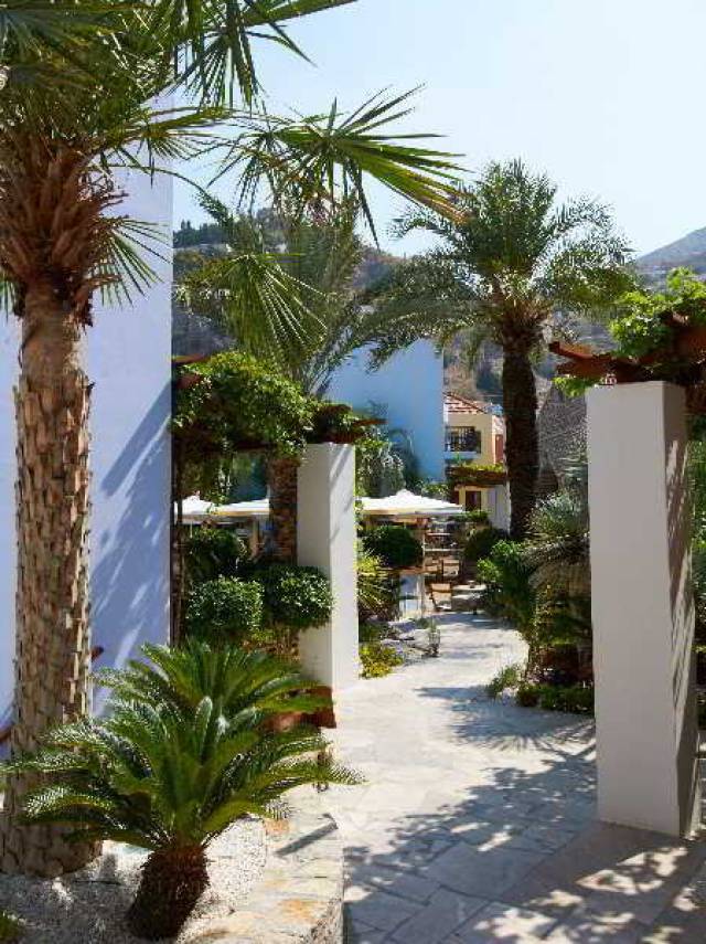 Terraço