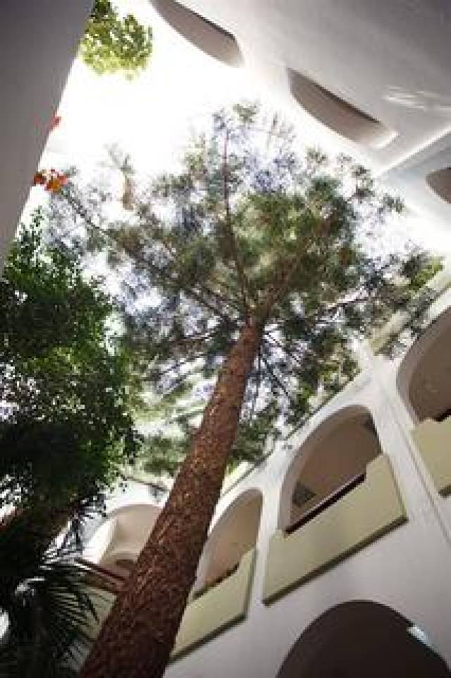 Vista General