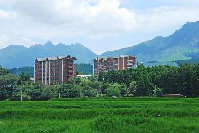 Vista General