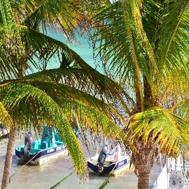 Praia