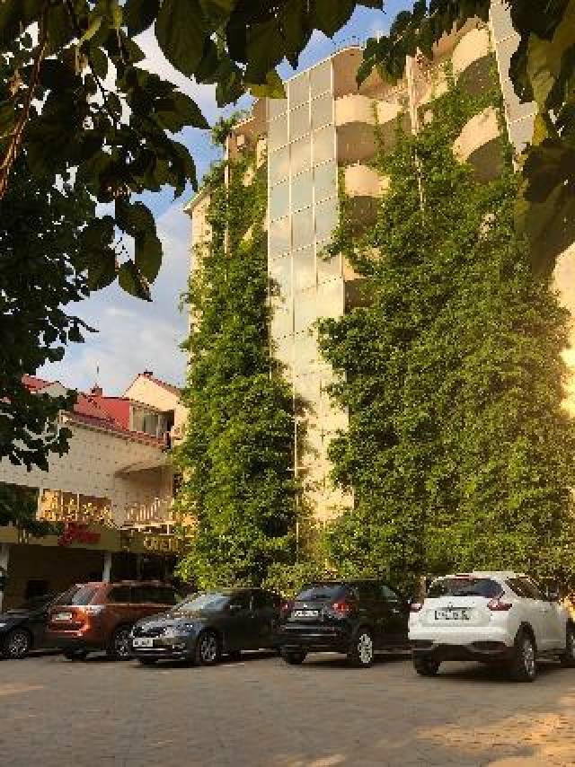 Vista General