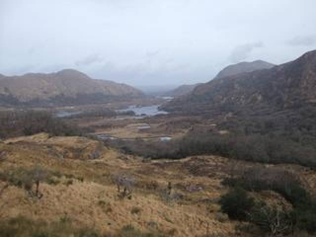 Vista General