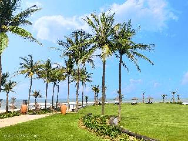 Praia
