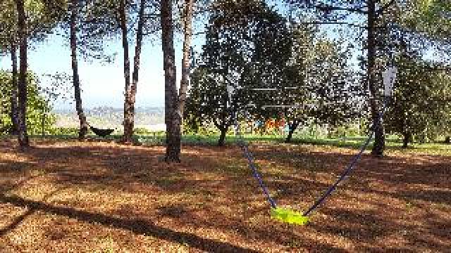 Desportos y Entretenimento