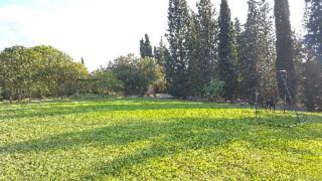 Desportos y Entretenimento