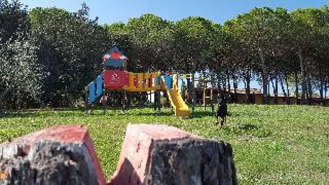Desportos y Entretenimento