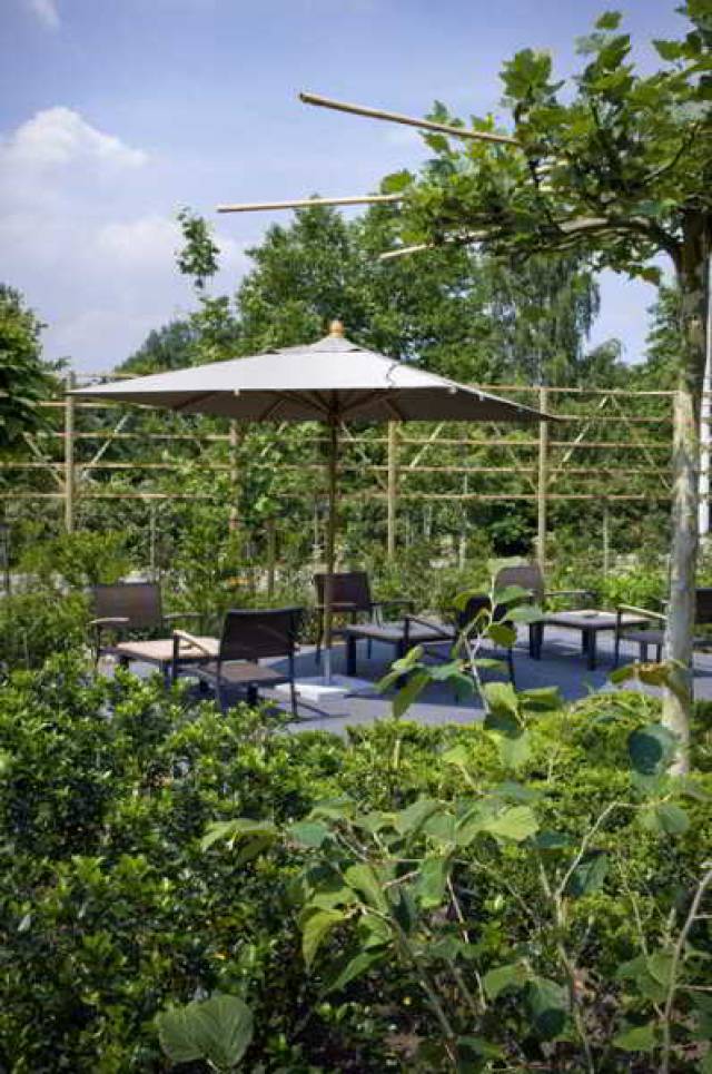 Terraço