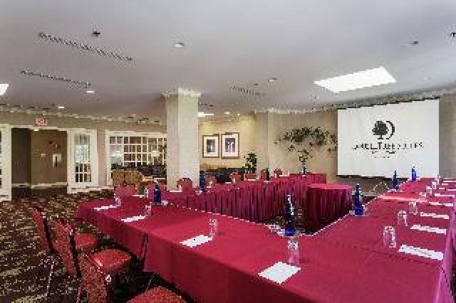 Conferencias