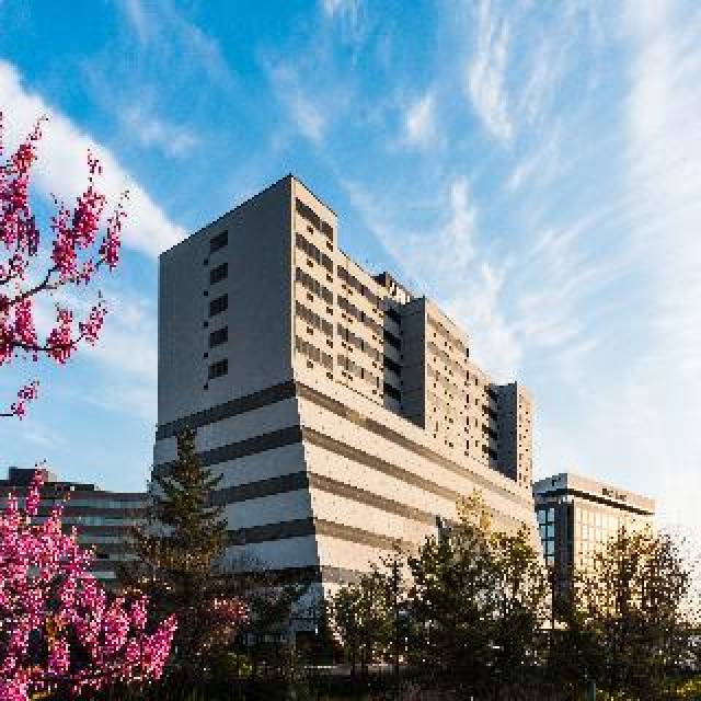 Vista General