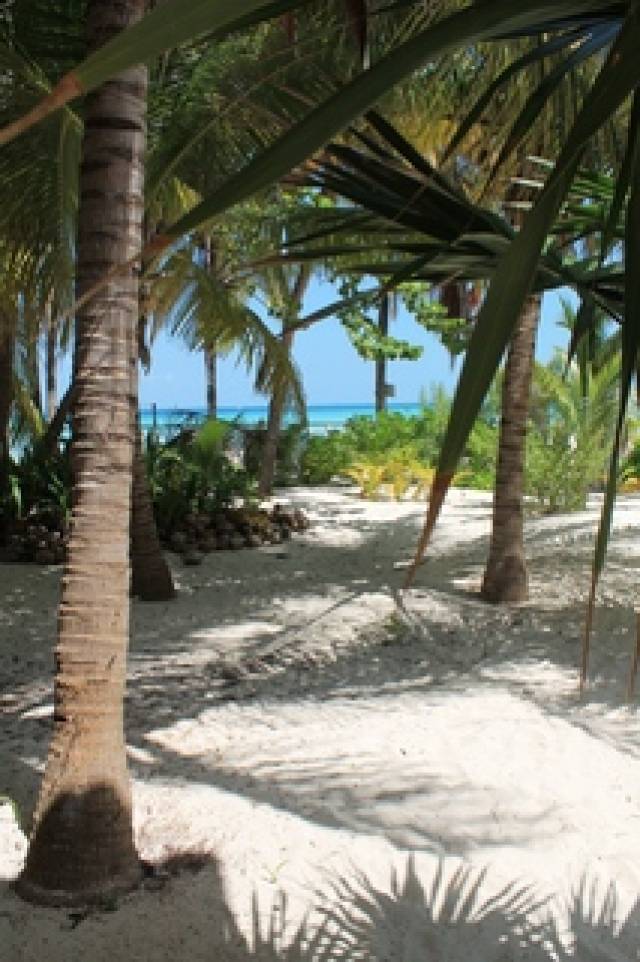 Praia