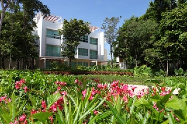 Vista General