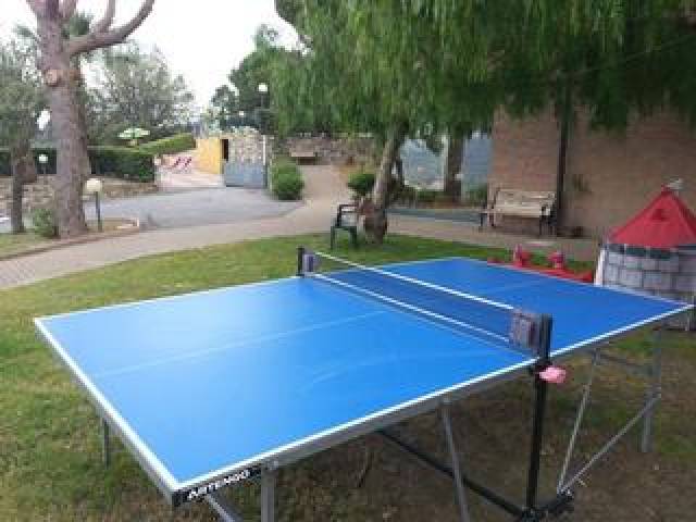 Desportos y Entretenimento