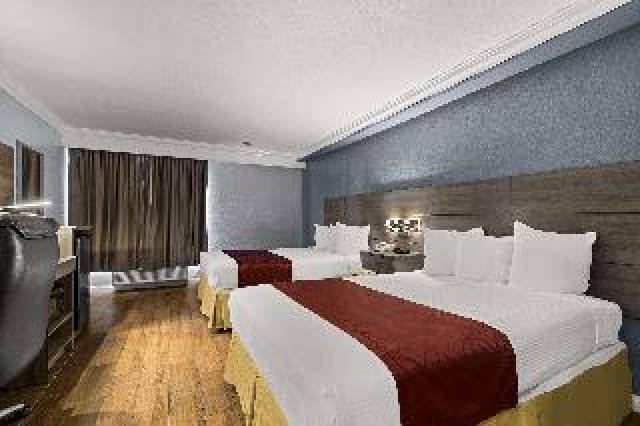 Quarto