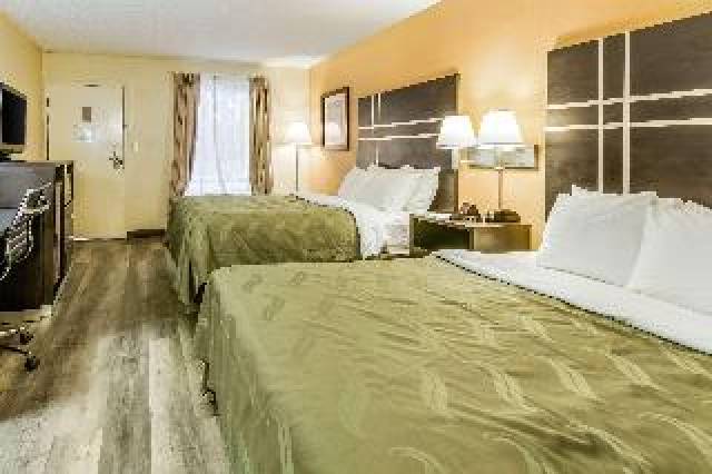Quarto