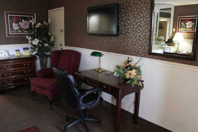 Vista General