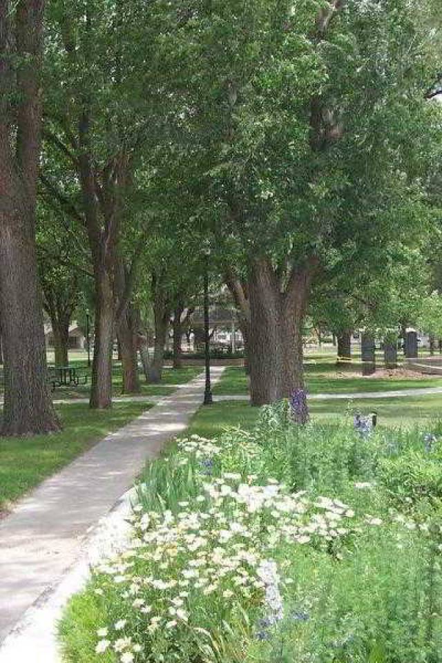 Vista General