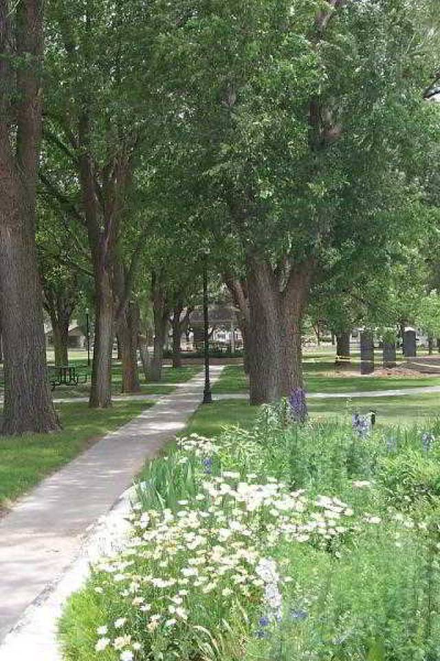 Vista General