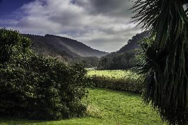 Vista General