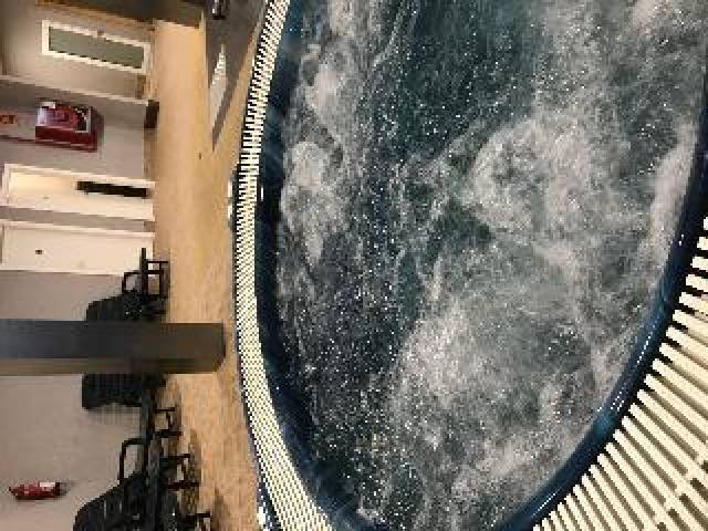 Desportos y Entretenimento