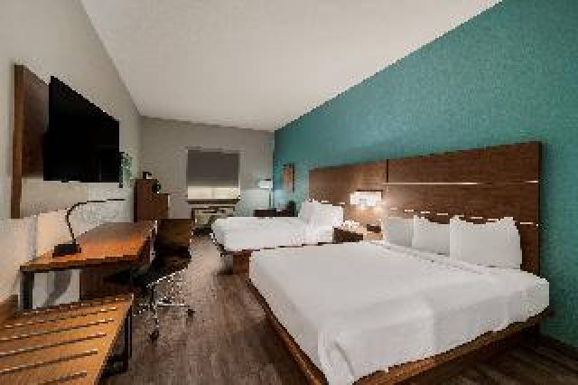 Quarto