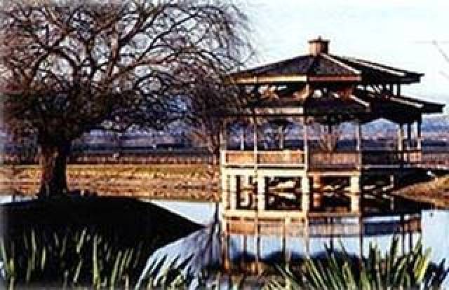 Vista General