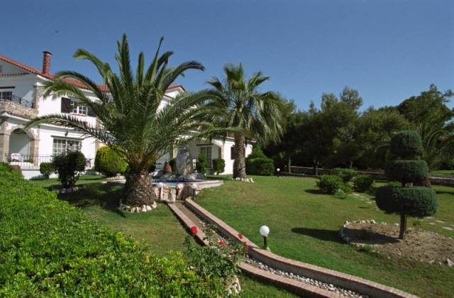 Vista General
