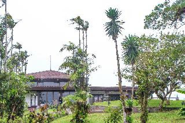 Vista General