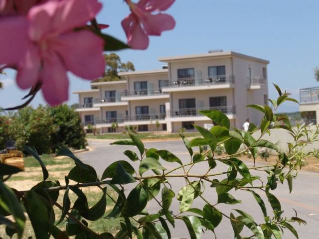 Vista General